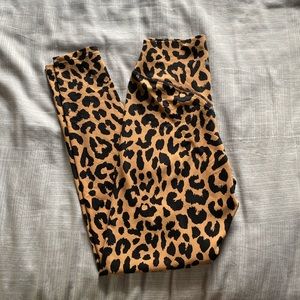 Ascend Pant King Cheetah - Balance Athletica